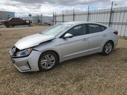 Hyundai salvage cars for sale: 2019 Hyundai Elantra SEL