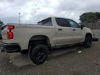 2023 Chevrolet Silverado K1500 LT Trail Boss