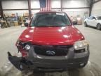 2007 Ford Escape XLT