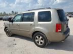 2009 Honda Pilot EXL