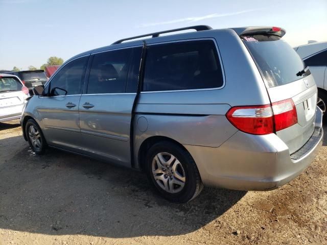 2005 Honda Odyssey EXL