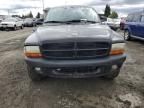 2003 Dodge Dakota Sport