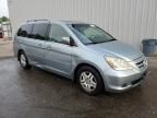 2005 Honda Odyssey EXL