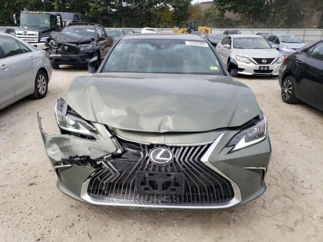 2019 Lexus ES 350