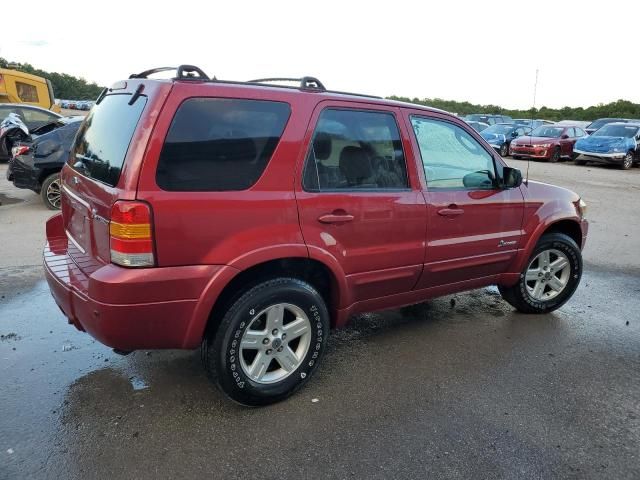 2006 Ford Escape HEV