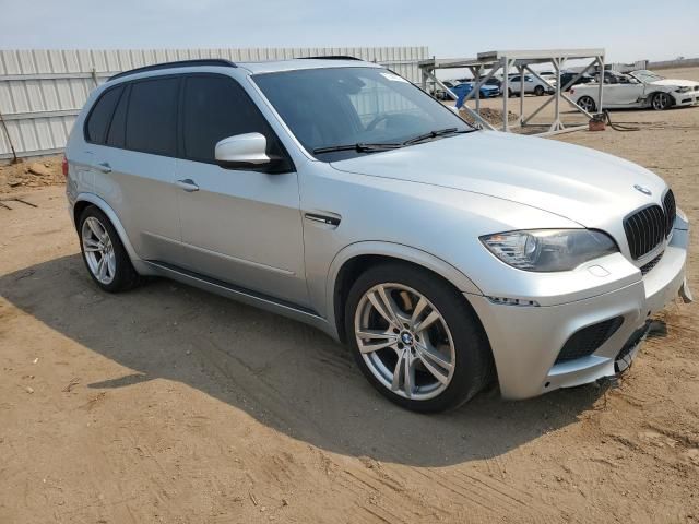 2011 BMW X5 M