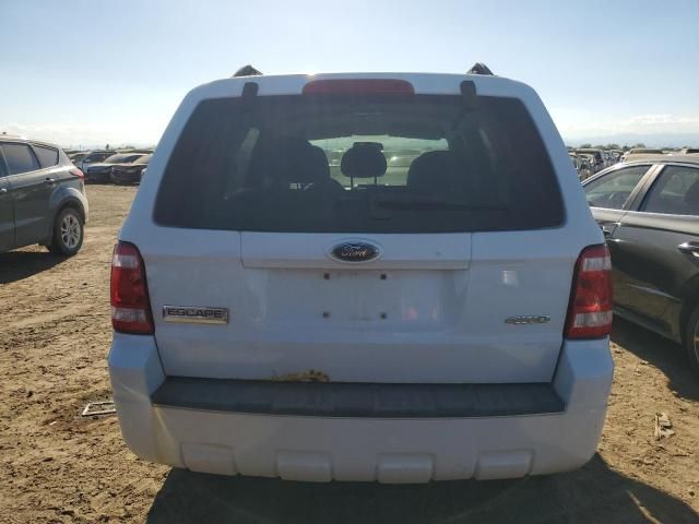 2008 Ford Escape XLS