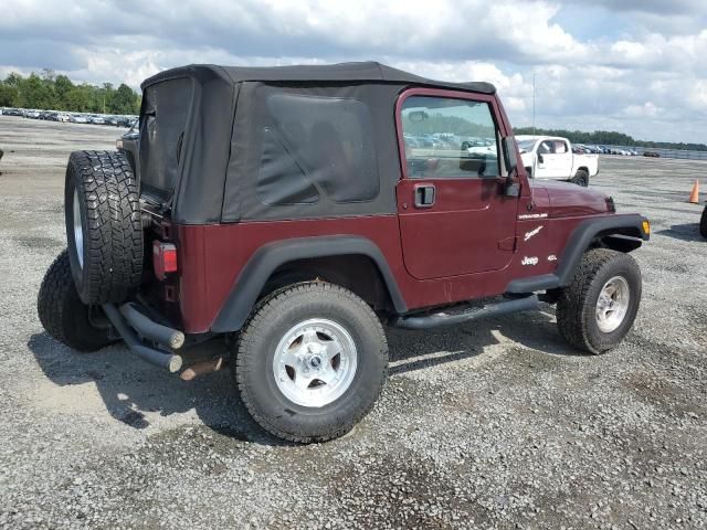 2002 Jeep Wrangler / TJ X