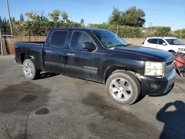 2010 Chevrolet Silverado C1500  LS