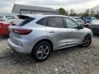 2023 Ford Escape ST Line Select