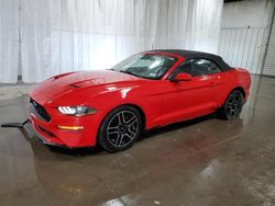 Salvage cars for sale at Albany, NY auction: 2022 Ford Mustang