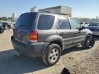 2006 Ford Escape XLT