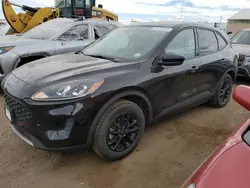 2020 Ford Escape SE Sport en venta en Brighton, CO