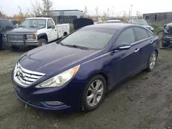 Hyundai Sonata Vehiculos salvage en venta: 2011 Hyundai Sonata SE