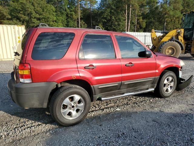 2006 Ford Escape XLT