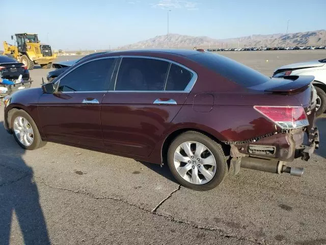 2010 Honda Accord EXL