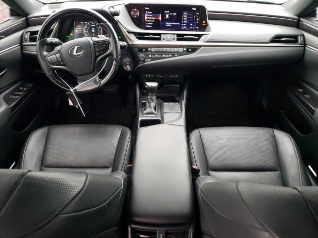 2019 Lexus ES 350