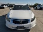 2009 Honda Accord LXP