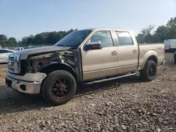 Salvage trucks for sale at Chalfont, PA auction: 2011 Ford F150 Supercrew