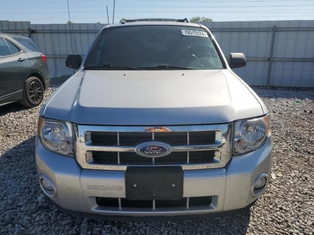 2011 Ford Escape XLT