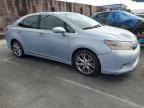 2010 Lexus HS 250H