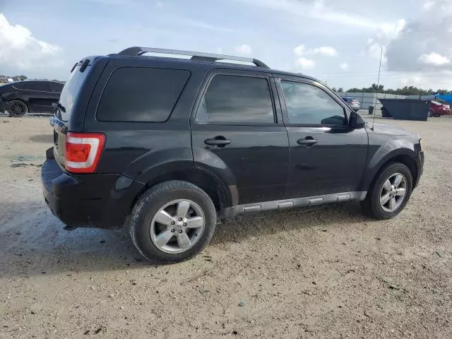 2010 Ford Escape Limited