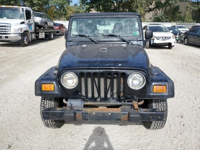 2004 Jeep Wrangler / TJ SE