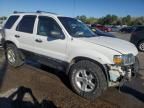 2005 Ford Escape XLT