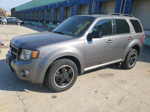 2011 Ford Escape XLT