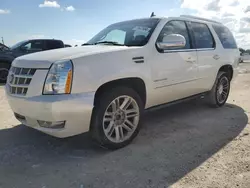 Salvage cars for sale at Arcadia, FL auction: 2013 Cadillac Escalade Premium