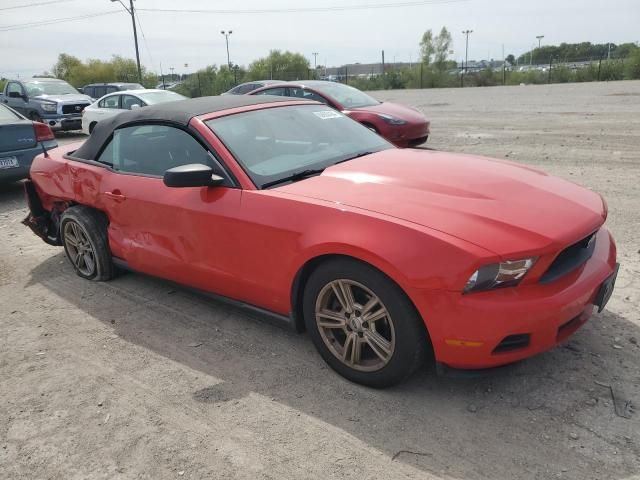 2010 Ford Mustang