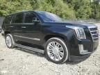 2015 Cadillac Escalade Platinum