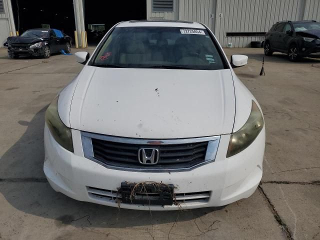 2008 Honda Accord EXL