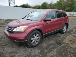 Honda salvage cars for sale: 2011 Honda CR-V SE