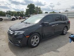 Salvage cars for sale at Lexington, KY auction: 2018 Honda Odyssey EXL