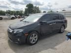 2018 Honda Odyssey EXL