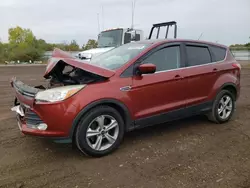 Salvage cars for sale at Columbia Station, OH auction: 2014 Ford Escape SE