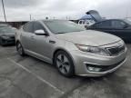 2013 KIA Optima Hybrid