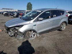 Salvage cars for sale at North Las Vegas, NV auction: 2013 Ford Escape SEL