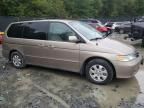 2004 Honda Odyssey EX