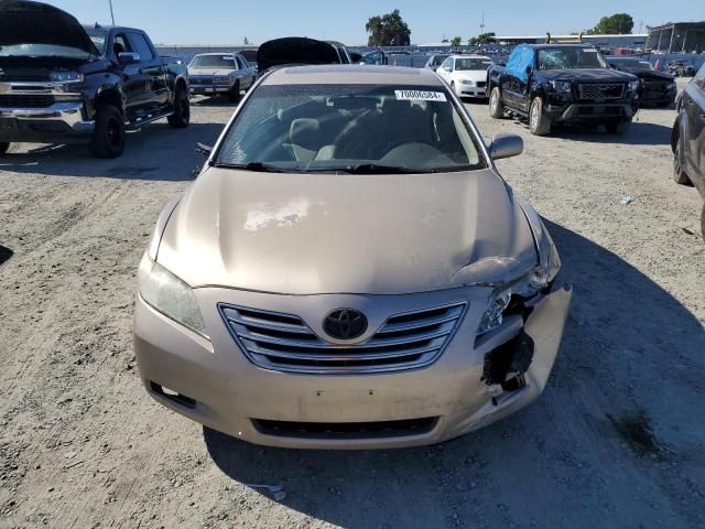 2009 Toyota Camry Hybrid