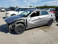 Salvage cars for sale at Indianapolis, IN auction: 2023 Hyundai Elantra SEL