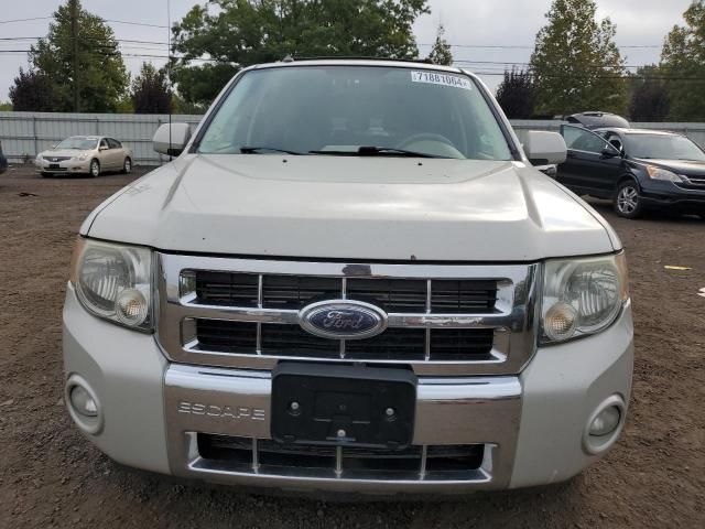 2008 Ford Escape Limited