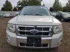 2008 Ford Escape Limited