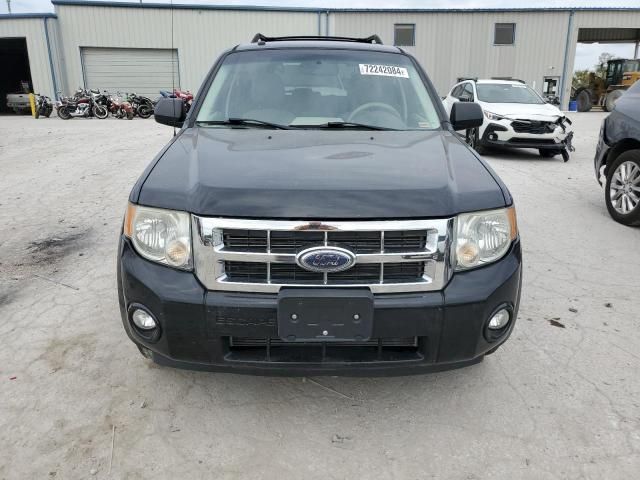 2008 Ford Escape XLT