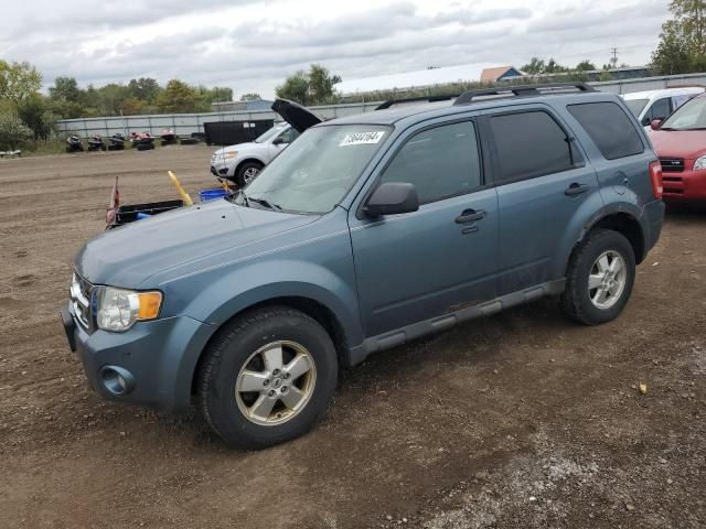 2011 Ford Escape XLT