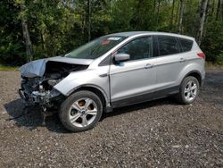 Ford salvage cars for sale: 2013 Ford Escape SE