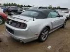 2013 Ford Mustang