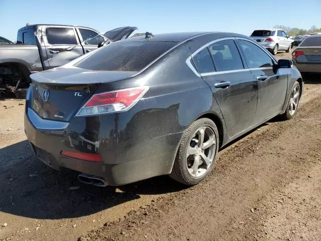 2010 Acura TL