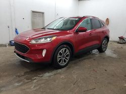 Ford salvage cars for sale: 2020 Ford Escape SEL